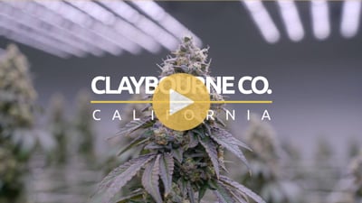 ClaybourneVideo_400x225